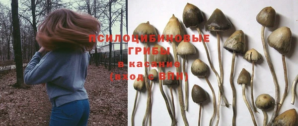 бутират Кодинск