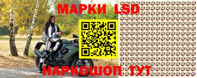 МДПВ Кингисепп