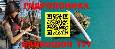бошки Кимры
