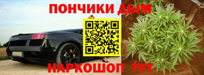 МДПВ Кингисепп