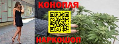 МДПВ Кингисепп