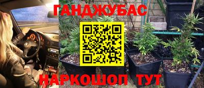 бошки Кимры