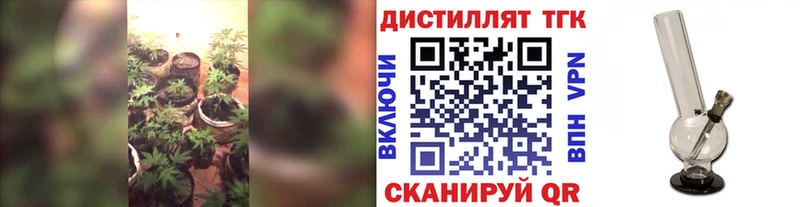 ТГК гашишное масло MEGA маркетплейс Сунжа