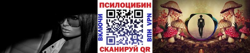 Галлюциногенные грибы GOLDEN TEACHER  как найти закладки  Сунжа 