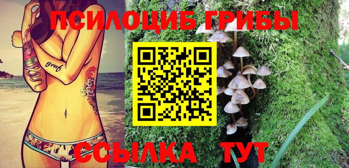 Сунжа  Галлюциногенные грибы Magic Shrooms  Вход с VPN 