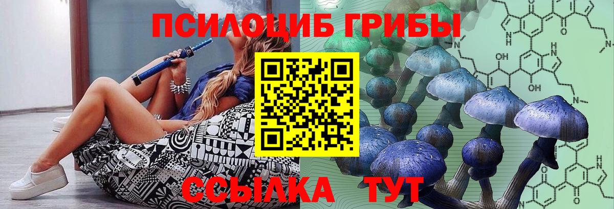 Псилоцибиновые грибы GOLDEN TEACHER  Сунжа 